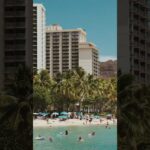 Escape to Waikiki 🌺